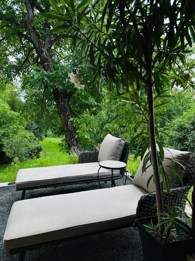 Casa Cerbului Homestay *